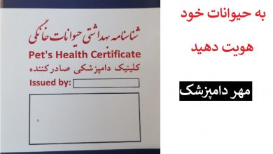 تصویر از هزینه شناسنامه سگ شیراز : صدور با مهر دامپزشکی یارا ۳۰ هزارتومان