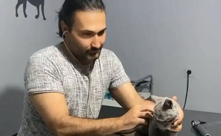 کلینیک دامپزشکی تبریز