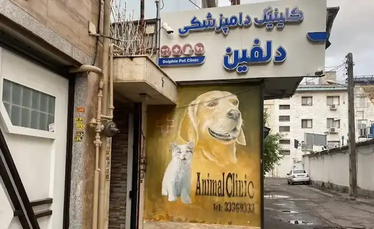 کلینیک دامپزشکی رشت