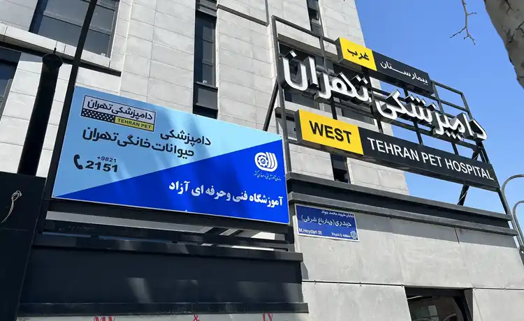 کلینیک دامپزشکی تهران