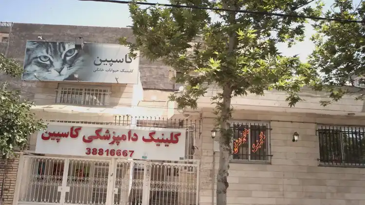 کلینیک دامپزشکی مشهد