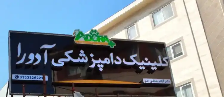 کلینیک دامپزشکی رشت