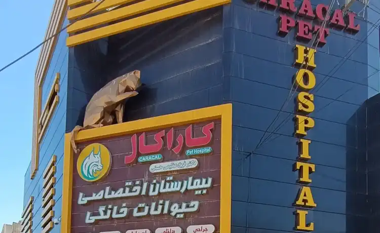 کلینیک دامپزشکی تبریز