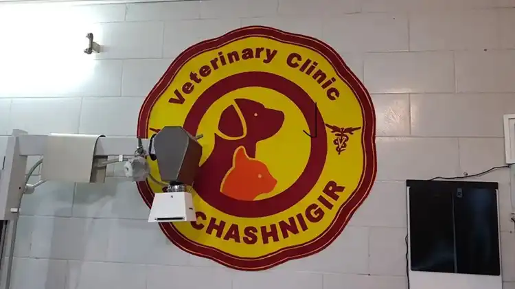 کلینیک دامپزشکی یزد