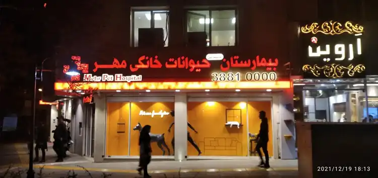 کلینیک دامپزشکی مشهد