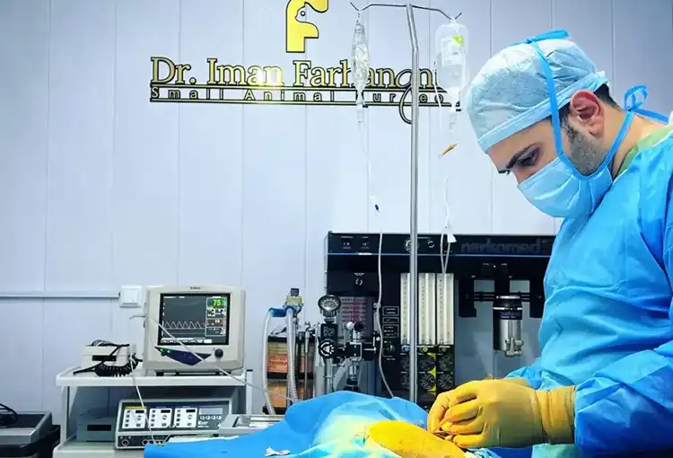 کلینیک دامپزشکی یزد