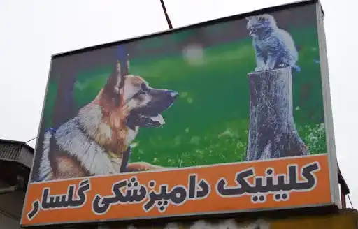 کلینیک دامپزشکی رشت