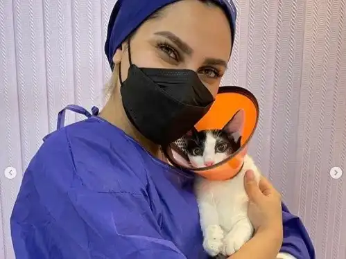 کلینیک دامپزشکی اهواز