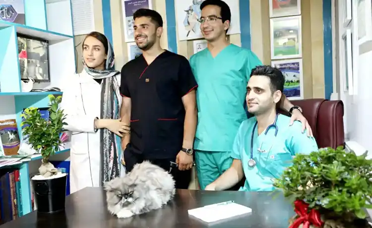 کلینیک دامپزشکی یزد