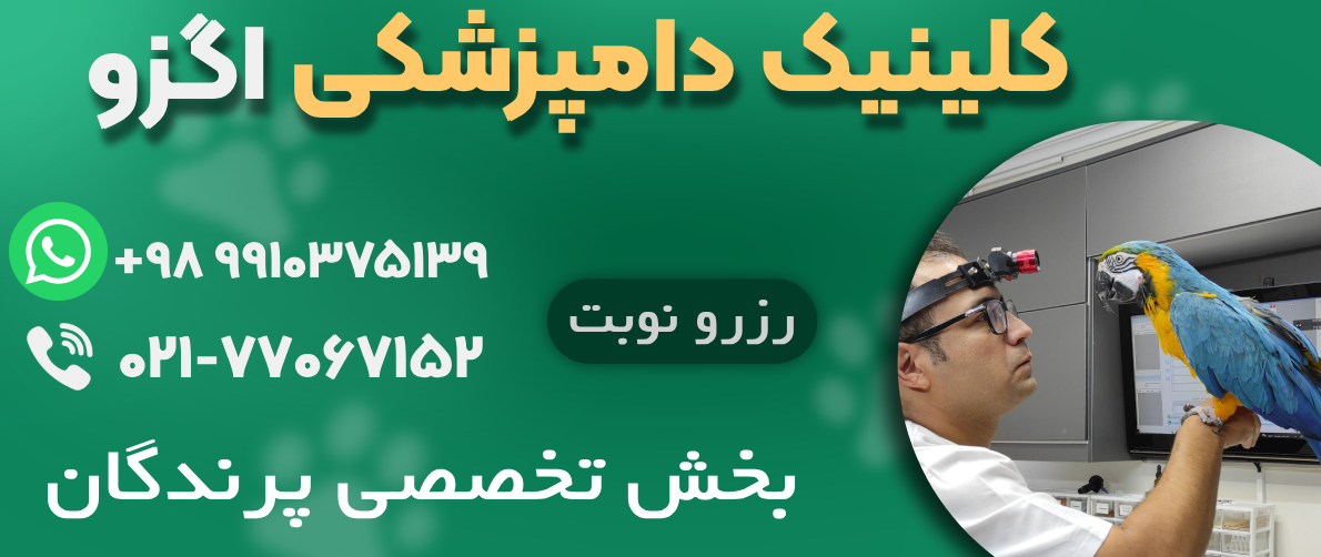 کلینیک دامپزشکی تهران