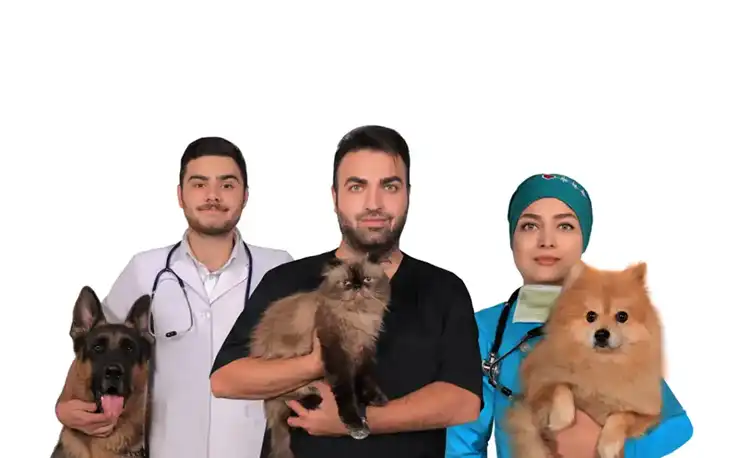 کلینیک دامپزشکی رشت