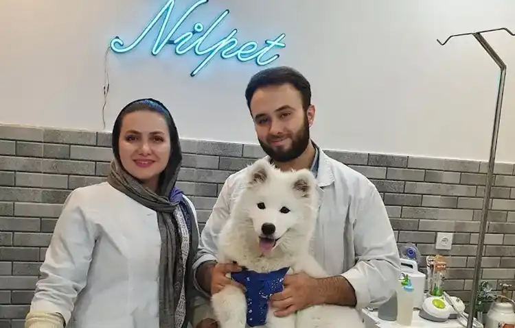 کلینیک دامپزشکی تهران