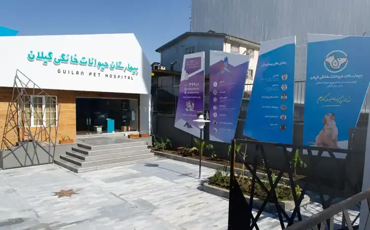 کلینیک دامپزشکی رشت