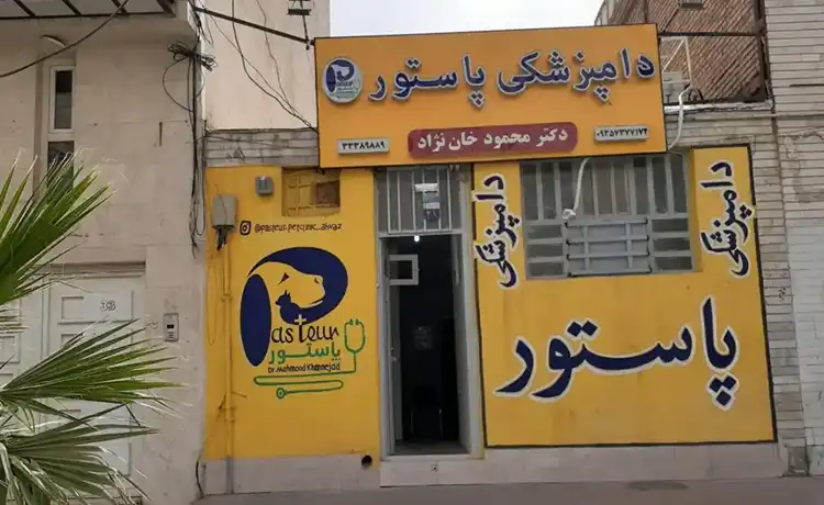 کلینیک دامپزشکی اهواز