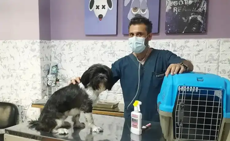 کلینیک دامپزشکی تهران