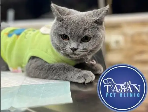 کلینیک دامپزشکی اهواز