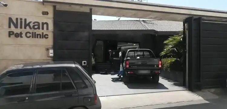 کلینیک دامپزشکی رشت