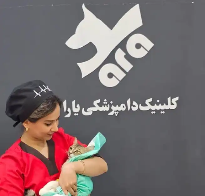 کلینیک دامپزشکی شیراز