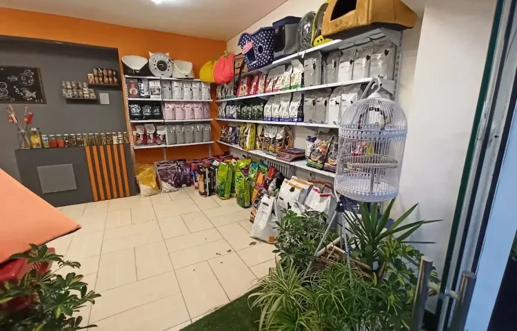 پت شاپ شیراز