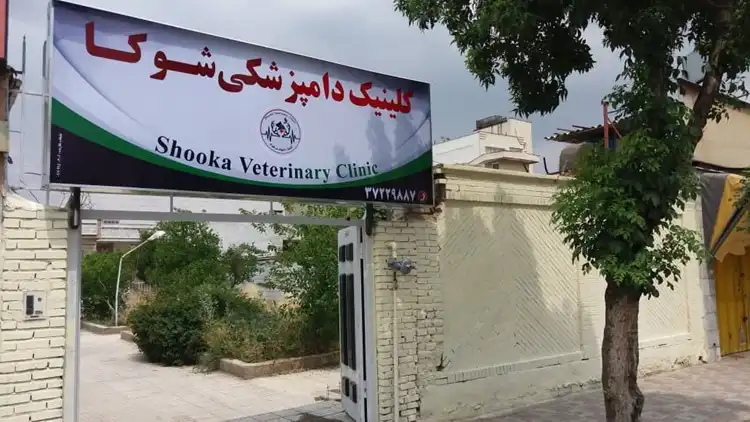 کلینیک دامپزشکی شیراز