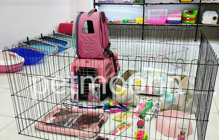 پت شاپ شیراز