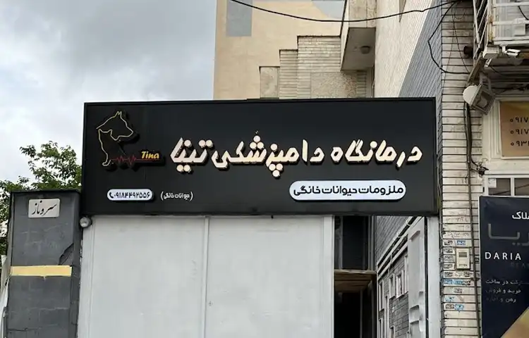 کلینیک دامپزشکی شیراز